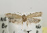  ( - TLMF Lep 13704)  @13 [ ] CreativeCommons - Attribution Non-Commercial Share-Alike (2014) Peter Huemer Tiroler Landesmuseum Ferdinandeum