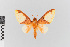 ( - EcEs-Lep-00016)  @11 [ ] copyright (2024) Gunnar Brehm Friedrich-Schiller-University Jena