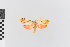  ( - EcEs-Lep-00195)  @11 [ ] copyright (2024) Gunnar Brehm Friedrich-Schiller-University Jena