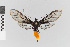  ( - EcEs-Lep-01073)  @11 [ ] copyright (2025) Gunnar Brehm Friedrich-Schiller-University Jena