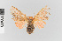  ( - EcEs-Lep-04373)  @11 [ ] copyright (2024) Gunnar Brehm Friedrich-Schiller-University Jena