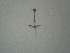  ( - BC KS 00263)  @12 [ ] Unspecified (default): All Rights Reserved (2012) Andreas K. Stuebner Andreas "K." Stuebner Research Collection