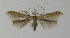  ( - BC KS 00136)  @13 [ ] CreativeCommons - Attribution Non-Commercial (2010) Matthias Nuss Senckenberg Museum of Zoology, Dresden