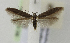  ( - BC KS 00046)  @14 [ ] CreativeCommons - Attribution Non-Commercial (2010) Matthias Nuss Senckenberg Museum of Zoology, Dresden