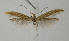  ( - BC KS 00090)  @11 [ ] CreativeCommons - Attribution Non-Commercial (2010) Matthias Nuss Senckenberg Museum of Zoology, Dresden
