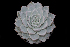  ( - EK-3791-3)  @11 [ ] CreativeCommons  Attribution Non-Commercial (by-nc) (2018) Luis Emilio de la Cruz López Universidad Nacional Autonoma de Mexico, UNAM