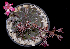  ( - GB-01)  @11 [ ] CreativeCommons  Attribution Non-Commercial (by-nc) (2018) Luis Emilio de la Cruz López Universidad Nacional Autonoma de Mexico, UNAM