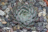  ( - GMA-20)  @11 [ ] CreativeCommons  Attribution Non-Commercial (by-nc) (2018) Luis Emilio de la Cruz López Universidad Nacional Autonoma de Mexico, UNAM