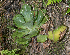  ( - JE-8592-1)  @11 [ ] CreativeCommons - Attribution Share-Alike (2019) Unspecified Universidad Nacional Autonoma de Mexico