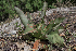  ( - JE-8805-1)  @11 [ ] CreativeCommons - Attribution Share-Alike (2019) Unspecified Universidad Nacional Autonoma de Mexico