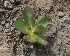  ( - JE-8392-1)  @11 [ ] CreativeCommons - Attribution Share-Alike (2019) Unspecified Universidad Nacional Autonoma de Mexico