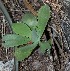  ( - LL-112)  @11 [ ] CreativeCommons - Attribution Share-Alike (2019) Unspecified Universidad Nacional Autonoma de Mexico