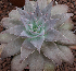  ( - EK-3415-2)  @11 [ ] CreativeCommons - Attribution Share-Alike (2019) Unspecified Universidad Nacional Autonoma de Mexico