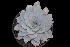  ( - JE-5146)  @11 [ ] CreativeCommons  Attribution Non-Commercial (by-nc) (2018) Luis Emilio de la Cruz López Universidad Nacional Autonoma de Mexico, UNAM