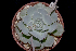  ( - JE-5469-2)  @11 [ ] CreativeCommons  Attribution Non-Commercial (by-nc) (2018) Luis Emilio de la Cruz López Universidad Nacional Autonoma de Mexico, UNAM
