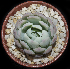  ( - JE-6944-2)  @11 [ ] CreativeCommons  Attribution Non-Commercial (2018) Universidad Nacional Autónoma de Mëxico UNAM