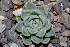  ( - JM-01-2)  @11 [ ] CreativeCommons  Attribution Non-Commercial (by-nc) (2018) Luis Emilio de la Cruz López Universidad Nacional Autonoma de Mexico, UNAM