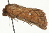 ( - MM01608)  @13 [ ] CreativeCommons - Attribution (2010) Unspecified Centre for Biodiversity Genomics