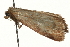  ( - MM01662)  @11 [ ] CreativeCommons - Attribution (2010) Unspecified Centre for Biodiversity Genomics