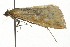  ( - MM01870)  @13 [ ] CreativeCommons - Attribution (2010) Unspecified Centre for Biodiversity Genomics