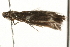  ( - MM02664)  @12 [ ] CreativeCommons - Attribution (2010) Unspecified Centre for Biodiversity Genomics