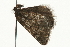 ( - MM04111)  @12 [ ] CreativeCommons - Attribution (2010) Unspecified Centre for Biodiversity Genomics