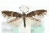  ( - MM09737)  @13 [ ] CreativeCommons - Attribution (2010) Unspecified Centre for Biodiversity Genomics