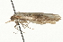  ( - MM09784)  @12 [ ] CreativeCommons - Attribution (2010) Unspecified Centre for Biodiversity Genomics