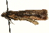  ( - MM01880)  @13 [ ] CreativeCommons - Attribution (2010) Unspecified Centre for Biodiversity Genomics