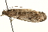  ( - MM01890)  @12 [ ] CreativeCommons - Attribution (2010) Unspecified Centre for Biodiversity Genomics
