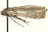  ( - MM01918)  @12 [ ] CreativeCommons - Attribution (2010) Unspecified Centre for Biodiversity Genomics