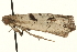  ( - MM01948)  @12 [ ] CreativeCommons - Attribution (2010) Unspecified Centre for Biodiversity Genomics