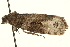  ( - MM01983)  @12 [ ] CreativeCommons - Attribution (2010) Unspecified Centre for Biodiversity Genomics