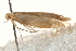  ( - MM02627)  @12 [ ] CreativeCommons - Attribution (2010) Unspecified Centre for Biodiversity Genomics