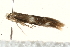  ( - MM02655)  @13 [ ] CreativeCommons - Attribution (2010) Unspecified Centre for Biodiversity Genomics