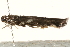  ( - MM02666)  @12 [ ] CreativeCommons - Attribution (2010) Unspecified Centre for Biodiversity Genomics