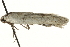  ( - MM02681)  @13 [ ] CreativeCommons - Attribution (2010) Unspecified Centre for Biodiversity Genomics