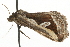  ( - MM02925)  @13 [ ] CreativeCommons - Attribution (2010) Unspecified Centre for Biodiversity Genomics