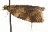  ( - MM02982)  @12 [ ] CreativeCommons - Attribution (2010) Unspecified Centre for Biodiversity Genomics