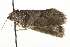  ( - MM03044)  @12 [ ] CreativeCommons - Attribution (2010) Unspecified Centre for Biodiversity Genomics