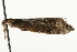  ( - MM03118)  @12 [ ] CreativeCommons - Attribution (2010) Unspecified Centre for Biodiversity Genomics