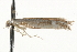  ( - MM03138)  @13 [ ] CreativeCommons - Attribution (2010) Unspecified Centre for Biodiversity Genomics