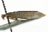  ( - MM03145)  @12 [ ] CreativeCommons - Attribution (2010) Unspecified Centre for Biodiversity Genomics