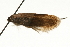  ( - MM00362)  @13 [ ] CreativeCommons - Attribution (2010) Unspecified Centre for Biodiversity Genomics