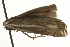  ( - MM00614)  @12 [ ] CreativeCommons - Attribution (2010) Unspecified Centre for Biodiversity Genomics