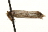  ( - MM00670)  @13 [ ] CreativeCommons - Attribution (2010) Unspecified Centre for Biodiversity Genomics
