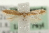  ( - MM00739)  @13 [ ] CreativeCommons - Attribution (2010) Unspecified Centre for Biodiversity Genomics