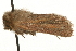  ( - MM00830)  @12 [ ] CreativeCommons - Attribution (2010) Unspecified Centre for Biodiversity Genomics