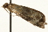  ( - MM02414)  @12 [ ] CreativeCommons - Attribution (2010) Unspecified Centre for Biodiversity Genomics