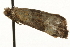  ( - MM02415)  @12 [ ] CreativeCommons - Attribution (2010) Unspecified Centre for Biodiversity Genomics